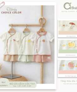 Bộ Cài Lệch Cộc Tay (3-9M)